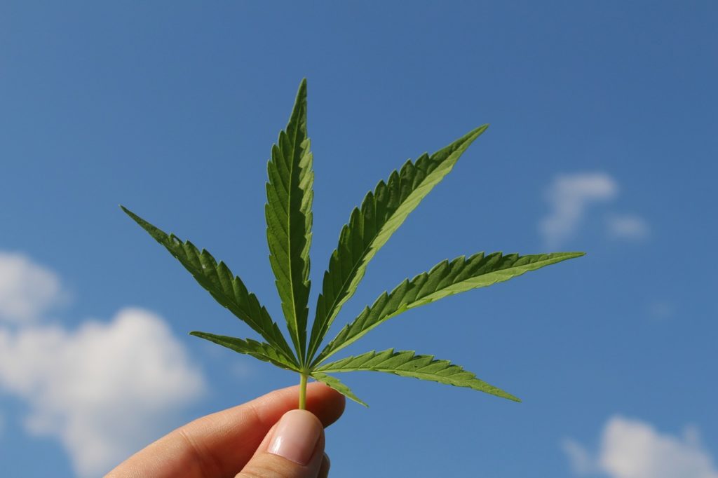 Hemp Market 2018: Positive signs that the industry will continue to grow