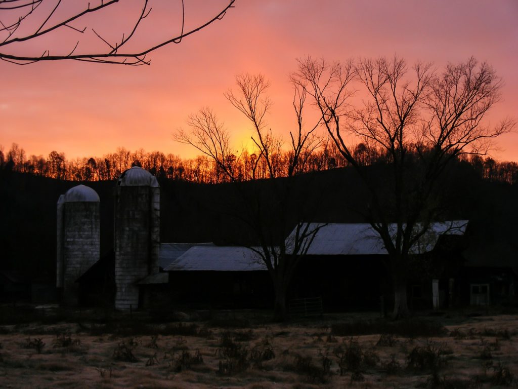 Kentucky farm