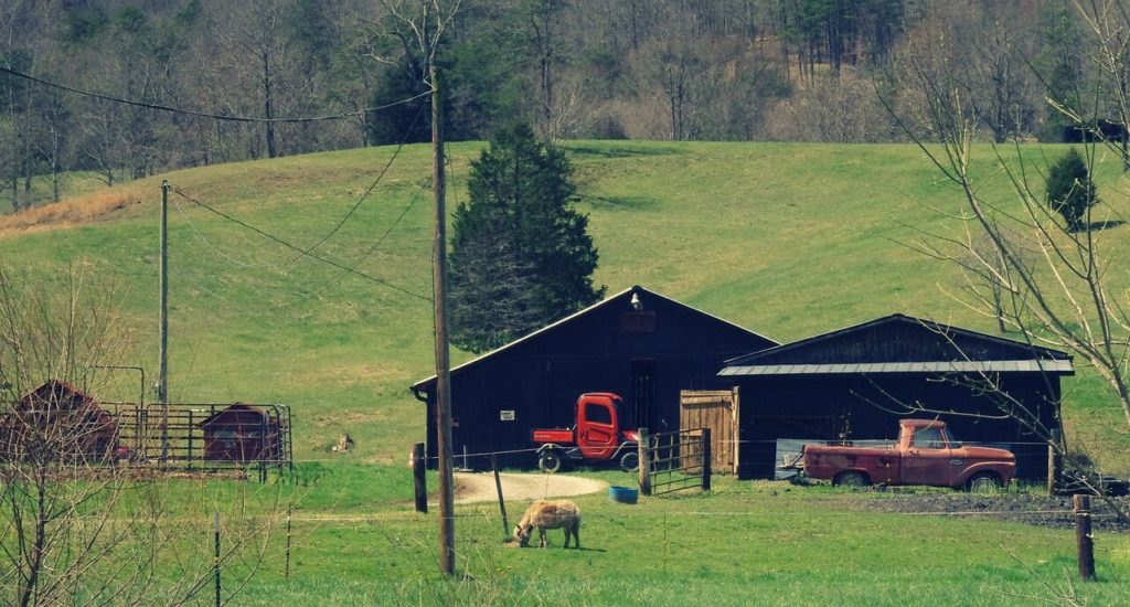West Virginia endures war against hemp farmers