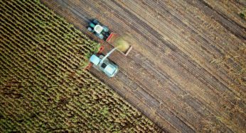 Farmer growing industrial hemp ahead in Pine Ridge