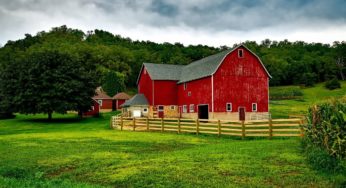 Wisconsin farmers to harvest hemp again this coming fall