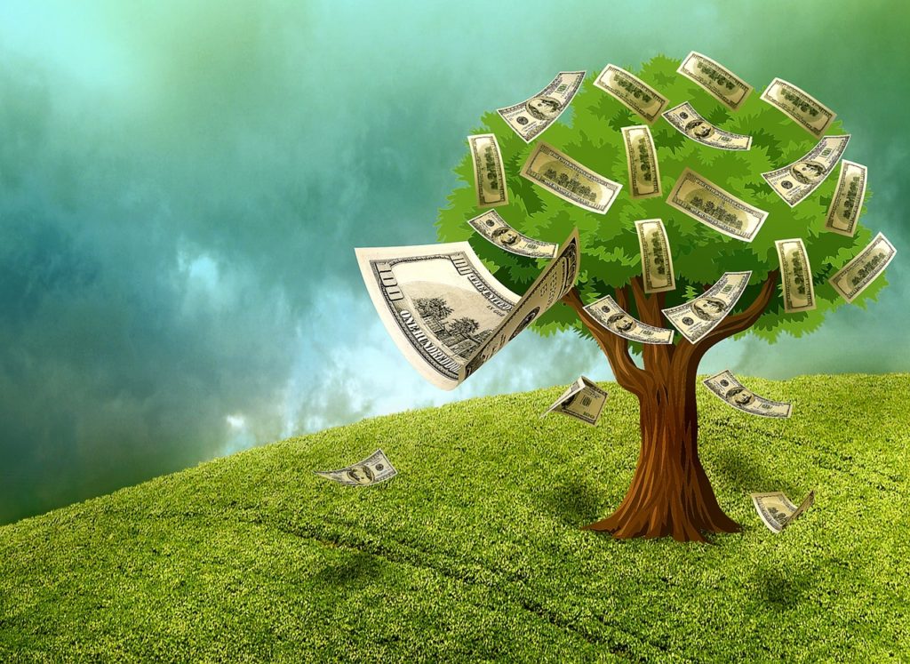 cannabis money tree