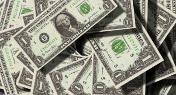 Thanks to the new Farm Bill, you can now invest in hemp