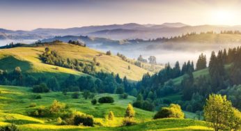 Hemp association funds hemp cultivation in Uttarakhand