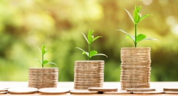 Hemp production funding secured for Front Range Biosciences
