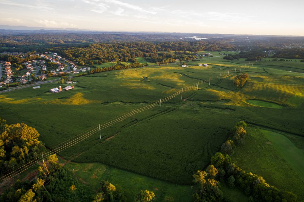 Tennessee field