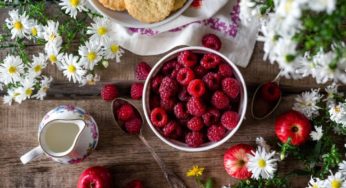 Boost your diet with these protein bar recipes with hemp