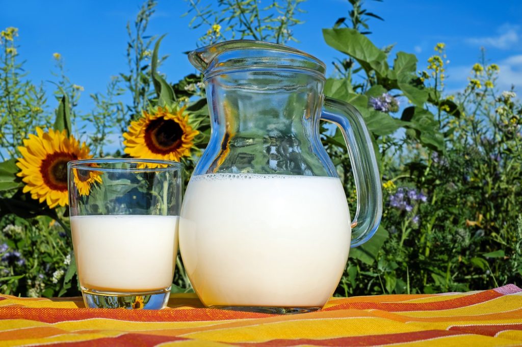 hemp based milk