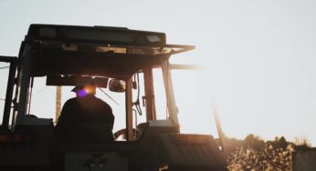 Applications for hemp licenses now open in various states