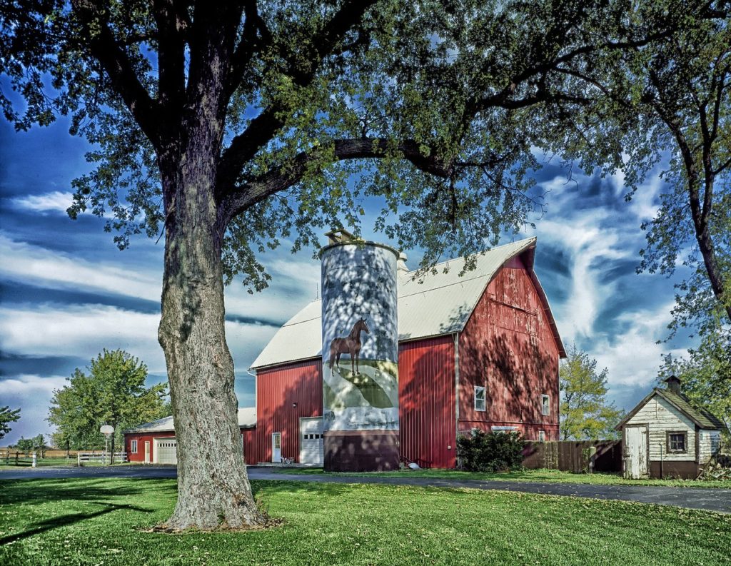Illinois Farm 