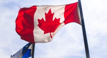 3 Canadian hemp companies to invest in this 2019