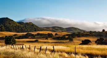 Cannabis Farmers in California are Bracing for Higher Utility Costs
