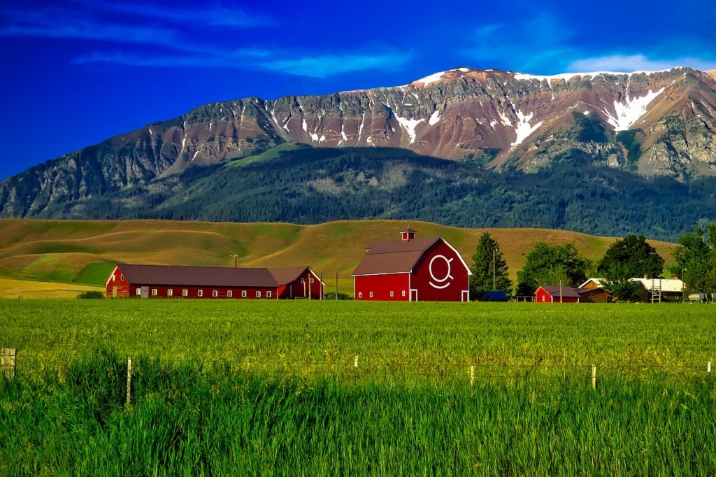 Oregon farm