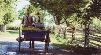 Lancaster, Pennsylvania is Greatly Positioned for CBD Success