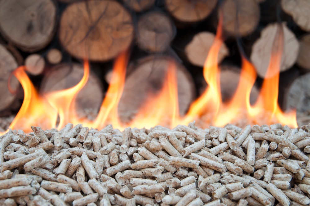 HempWave to Produce Tonnes of Hemp Biomass in 2019