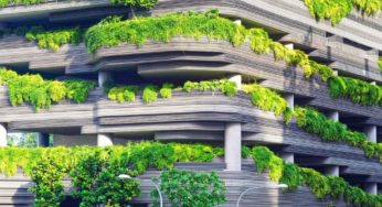 Cleaner hemp concrete to replace conventional concrete