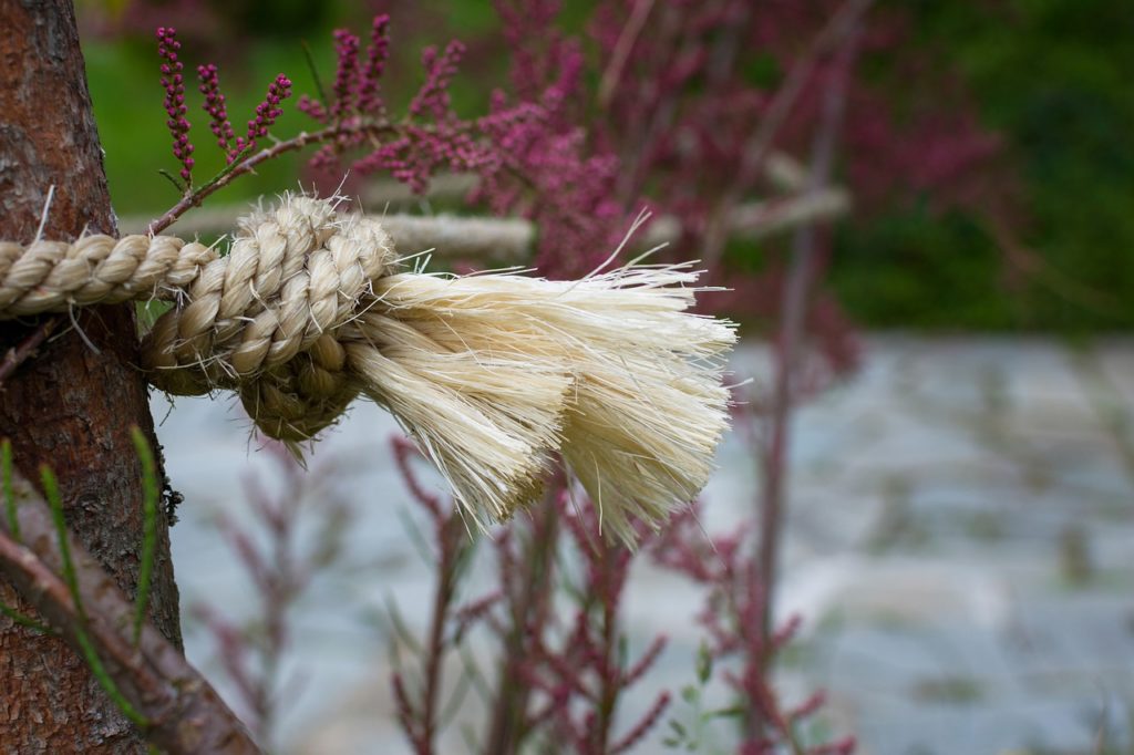 hemp - raw material