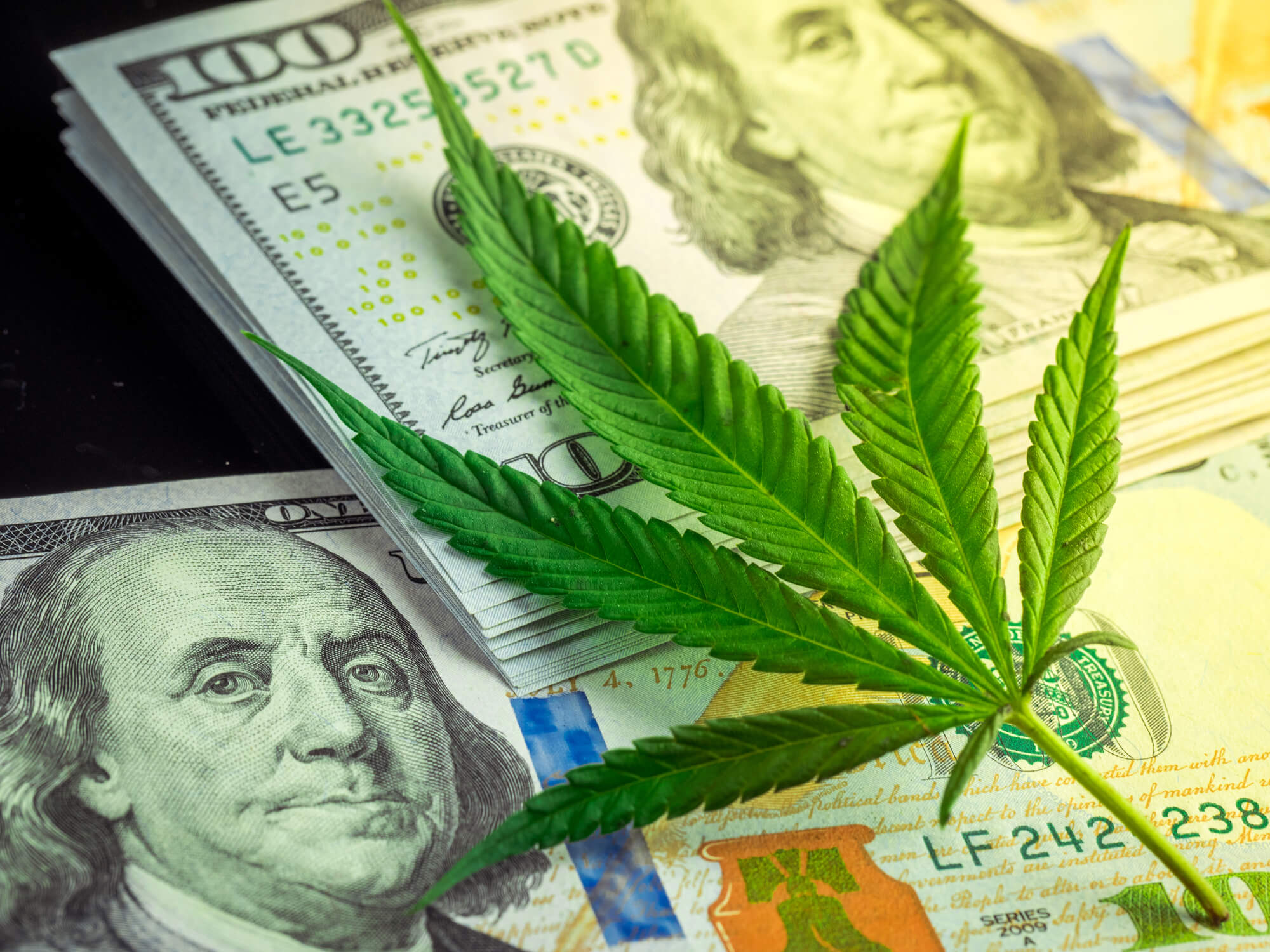investment in marijuana