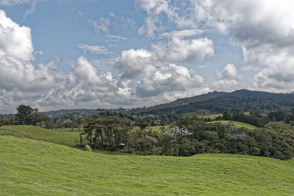 Colombia landscape cannabis