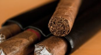 Cannabis consumption in Spain rises alongside tobacco