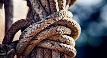 Waiting under the sun: The irony of Portuguese hemp