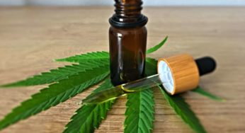 Here’s what you need to know about CBD hemp oil