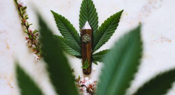 How the US cannabis business plans to expand