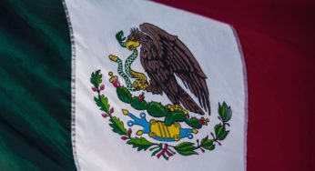 Mexico to become a leading producer of cannabis and hemp