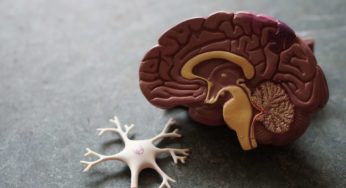 Can smoking two joints change a teenager’s brain?