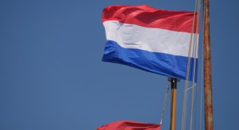Netherlands to start public cannabis cultivation