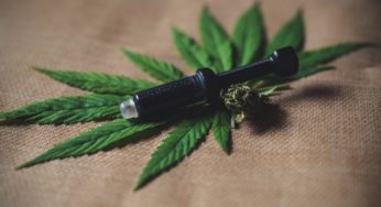 Cannabidiol and the healing properties of hemp