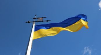 The profitability of the hemp industry in Ukraine