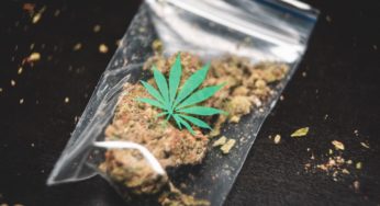 Cannabis industry trouble for Canada and provinces