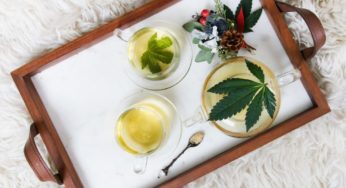 Cannabis market growth in the US and UK