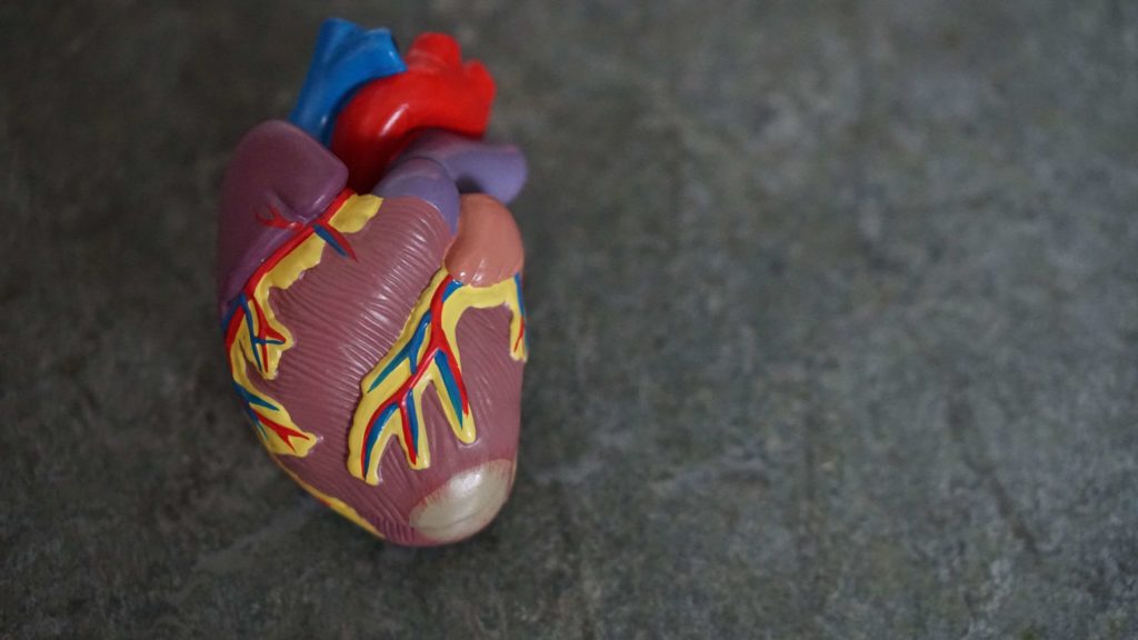 How does cannabis affect the heart?