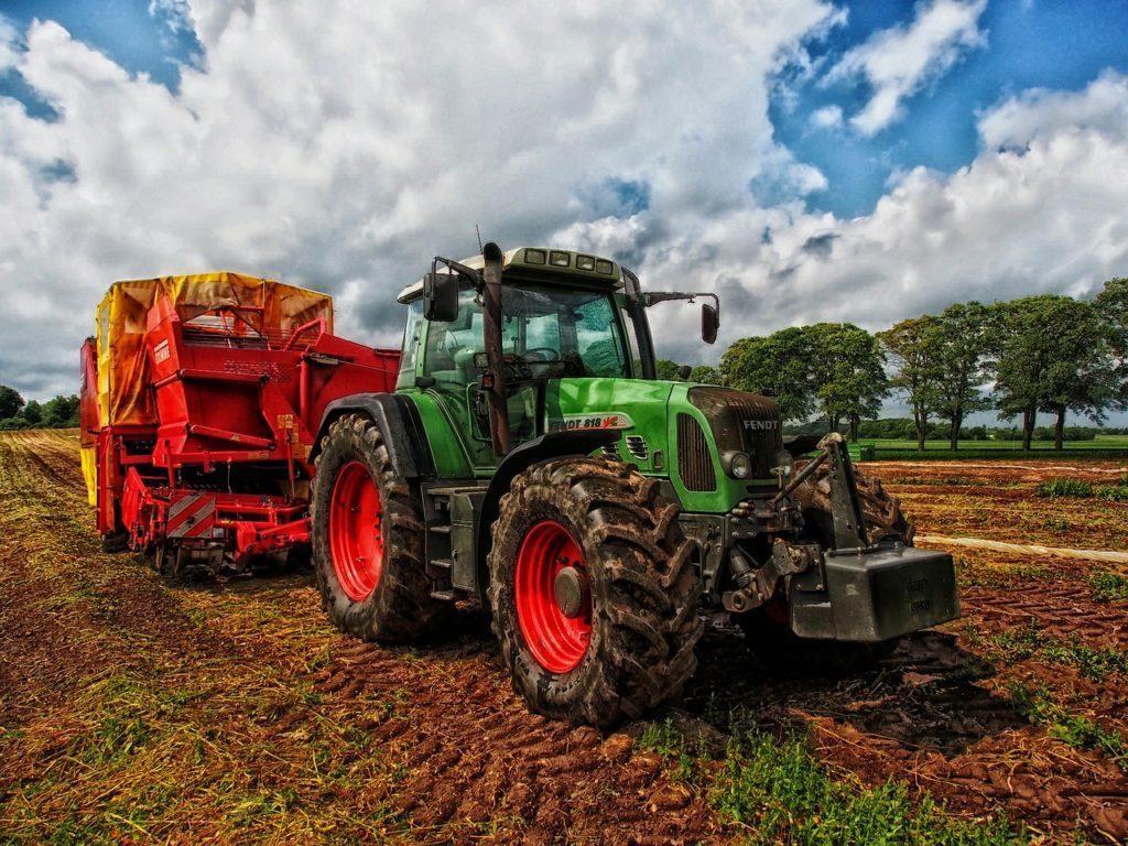 Farming for cannabis