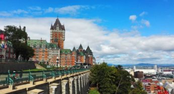 Court overturns Quebec’s ban on home cannabis cultivation