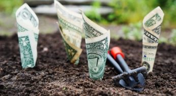 The global cannabis market will be worth $75 billion by 2025