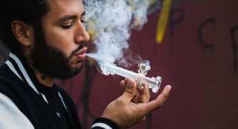Recent studies show how cannabis affects sperm