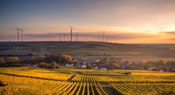 Hemp farming in the United States gains momentum