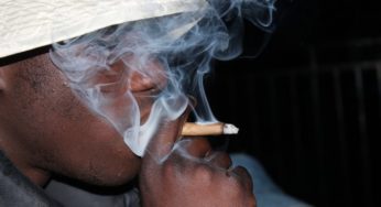 Common myths about cannabis dangers