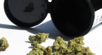 Synthetic marijuana is proving to be a global hazard