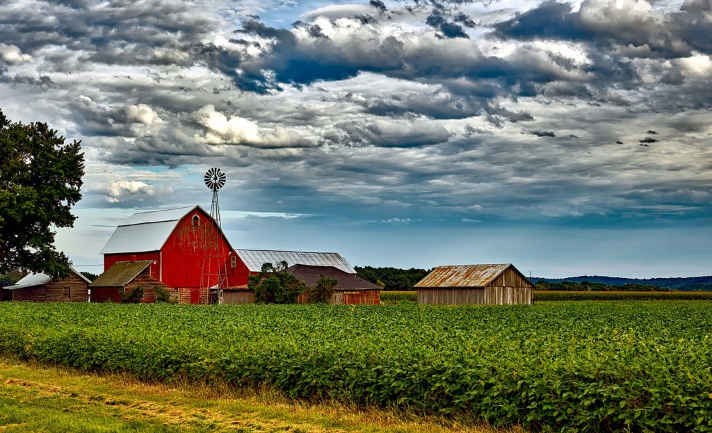 The future of CBD hemp farming in Canada and the U.S.