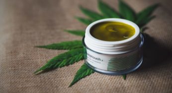 Lessonia responds to the trend of cannabis cosmetics