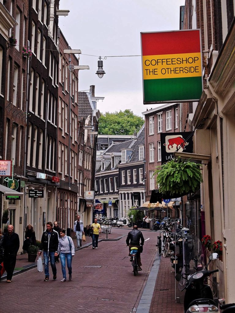 cannabis will be sold by new suppliers in coffee shops in the netherlands