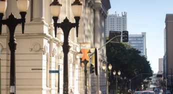 Is it worth investing in the Brazilian cannabis market?