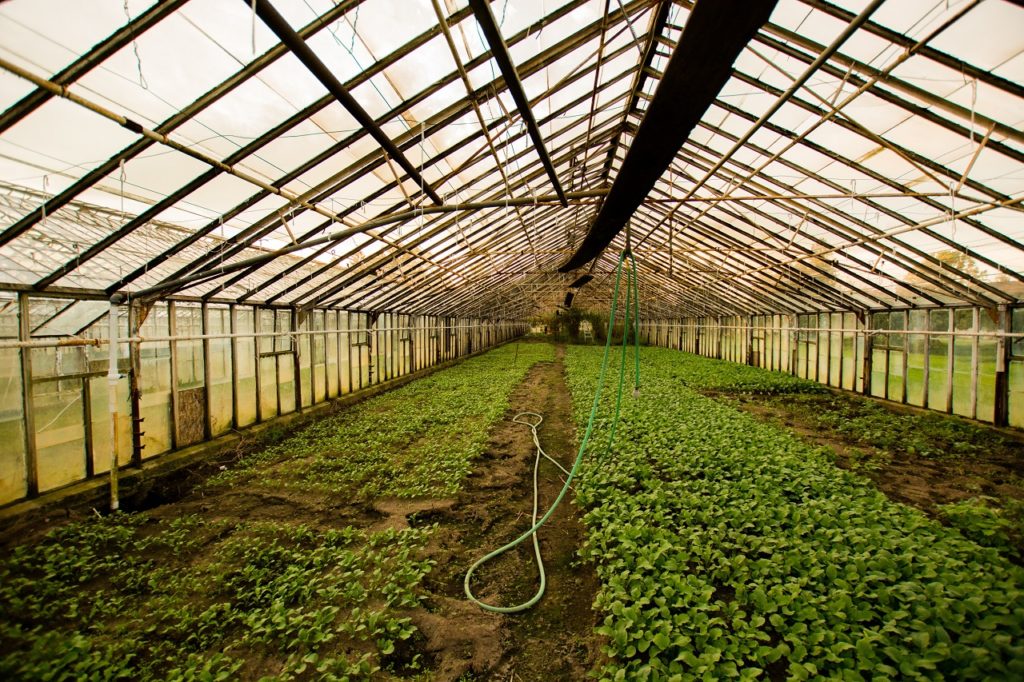 A greenhouse representing Tilray Inc. EU campus