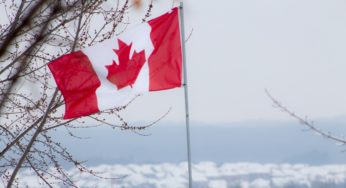 What the last six months of Canadian cannabis sales reveal