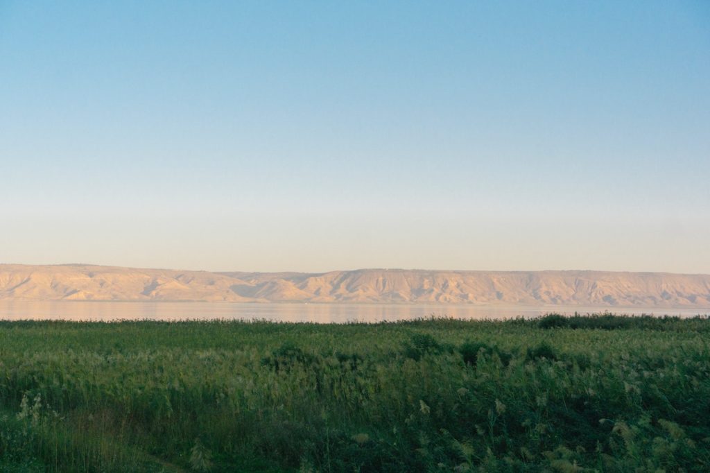 An Israeli field representing Israel's medical cannabis production