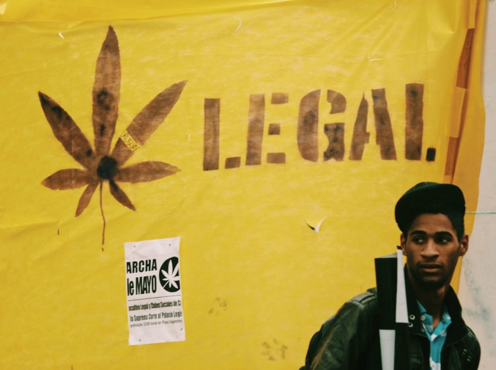 A picture of legal marijuana in Montevido depicting the state of Latin American cannabis laws